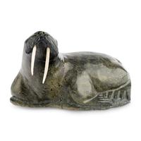 Walrus