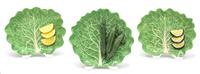 Seven Dodie Thayer Lettuce Ware Side Plates Length of longest 7 1/4 inches. — 20TH CENTURY