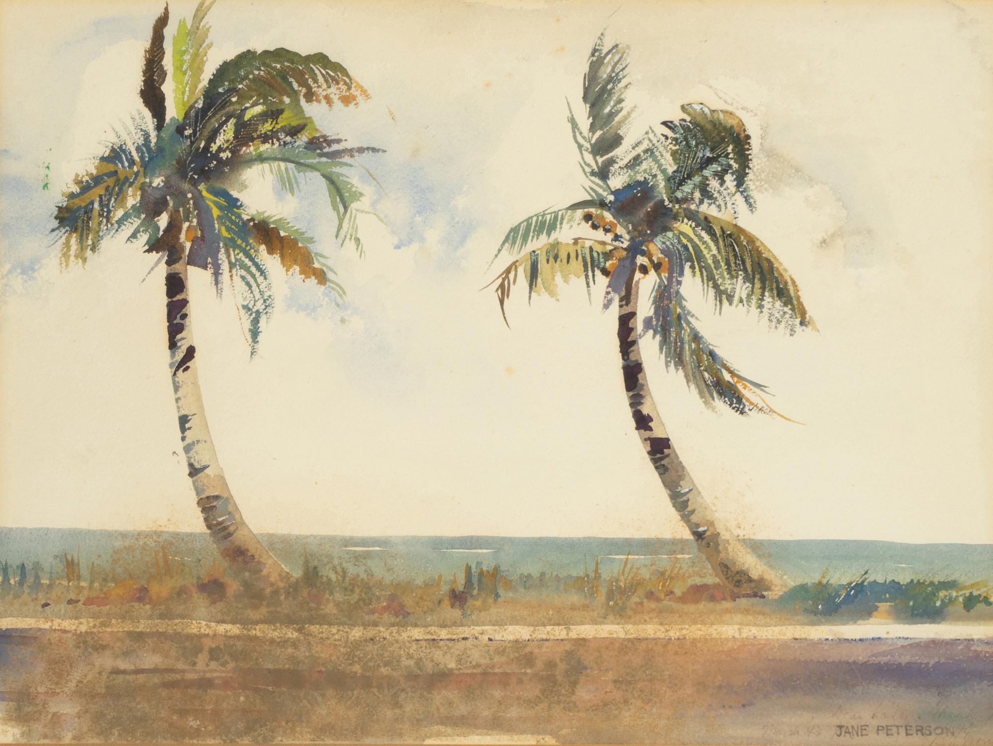 Palm Trees on the Beach