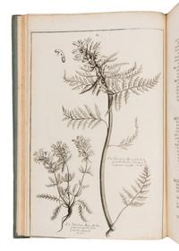 [NATURAL HISTORY]. HALLER, Albrecht von (1708-1777). Icones plantarum Helvetiae, ex ipsius historia stirpium Helveticarum denuo recusae, cum descriptionibus clarissimi auctoris. Berne: Sumptibus Bibliop. Typographici, 1813.