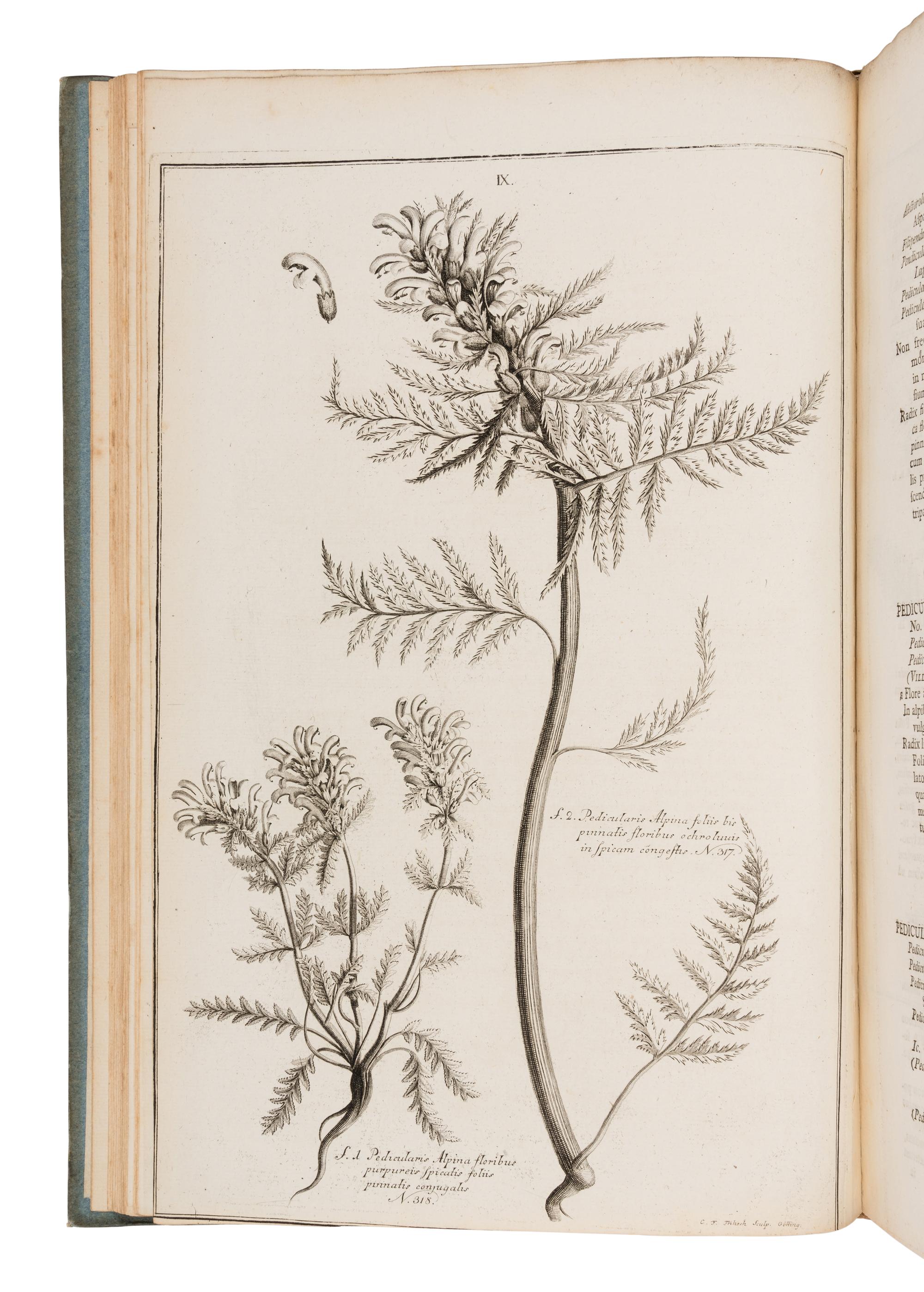 [NATURAL HISTORY]. HALLER, Albrecht von (1708-1777). Icones plantarum Helvetiae, ex ipsius historia stirpium Helveticarum denuo recusae, cum descriptionibus clarissimi auctoris. Berne: Sumptibus Bibliop. Typographici, 1813.