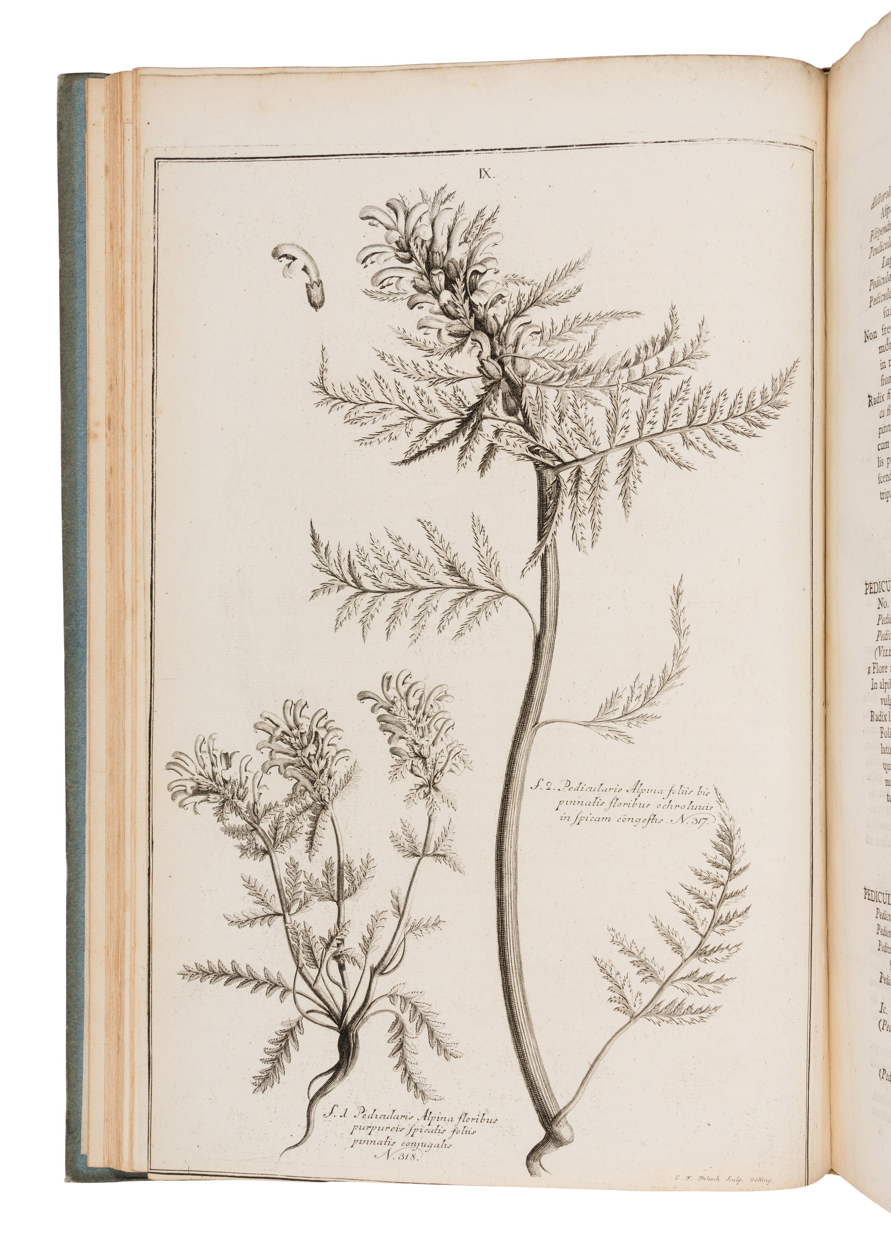 [NATURAL HISTORY]. HALLER, Albrecht von (1708-1777). Icones plantarum Helvetiae, ex ipsius historia stirpium Helveticarum denuo recusae, cum descriptionibus clarissimi auctoris. Berne: Sumptibus Bibliop. Typographici, 1813.