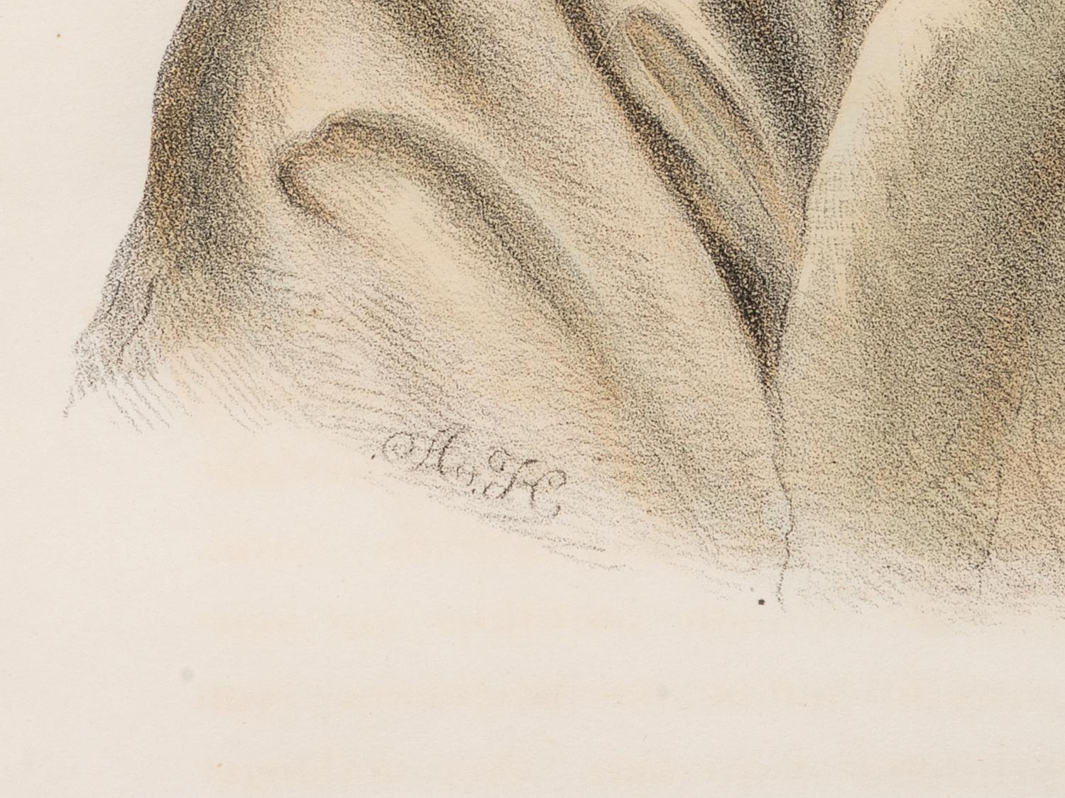 Three McKenney and Hall Hand-Colored Lithographs