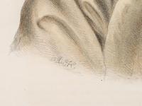 Three McKenney and Hall Hand-Colored Lithographs