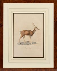 A Set of Six Animalier Prints 15 3/4 x 10 3/4 inches. — 19TH CENTURY
