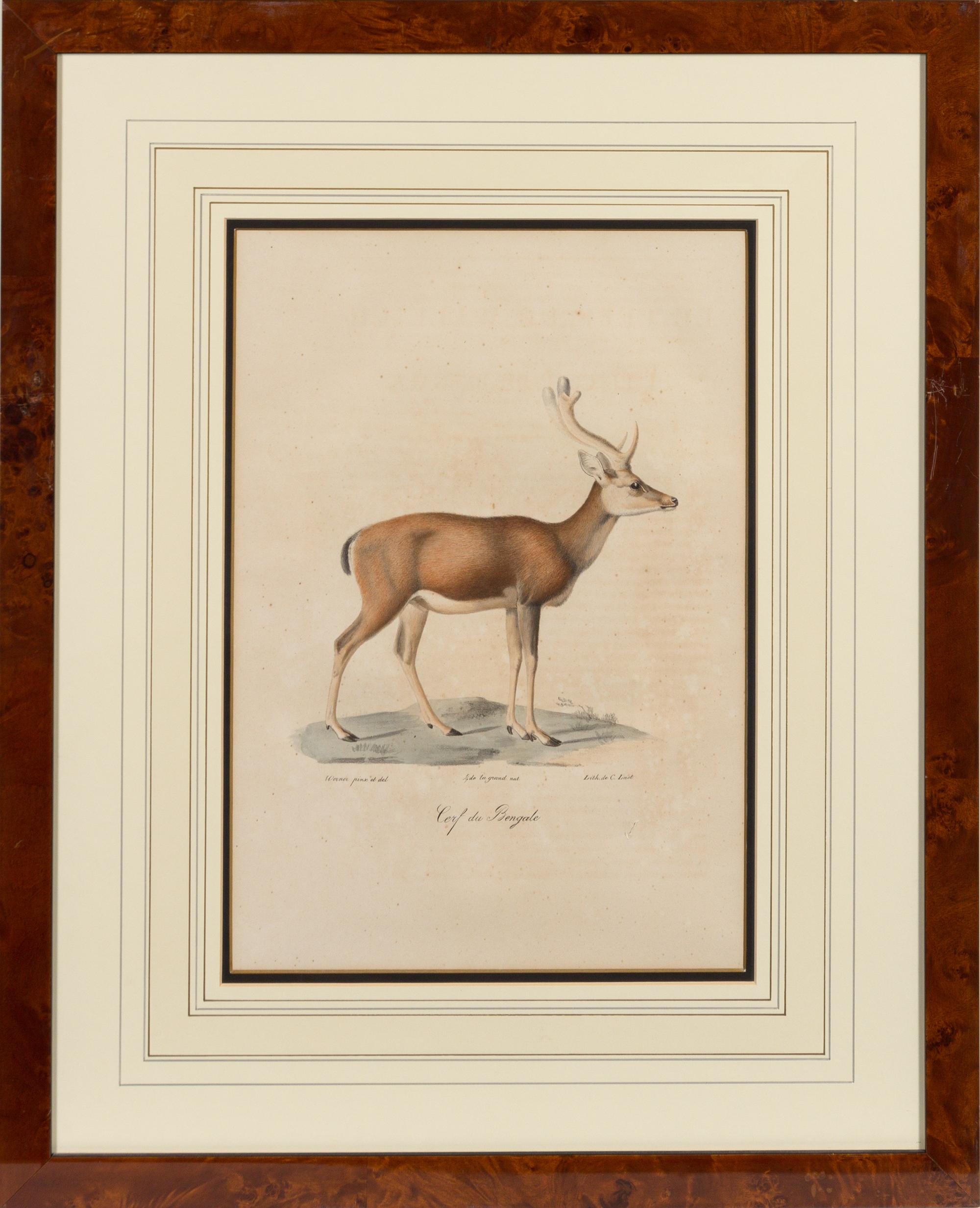 A Set of Six Animalier Prints 15 3/4 x 10 3/4 inches. — 19TH CENTURY