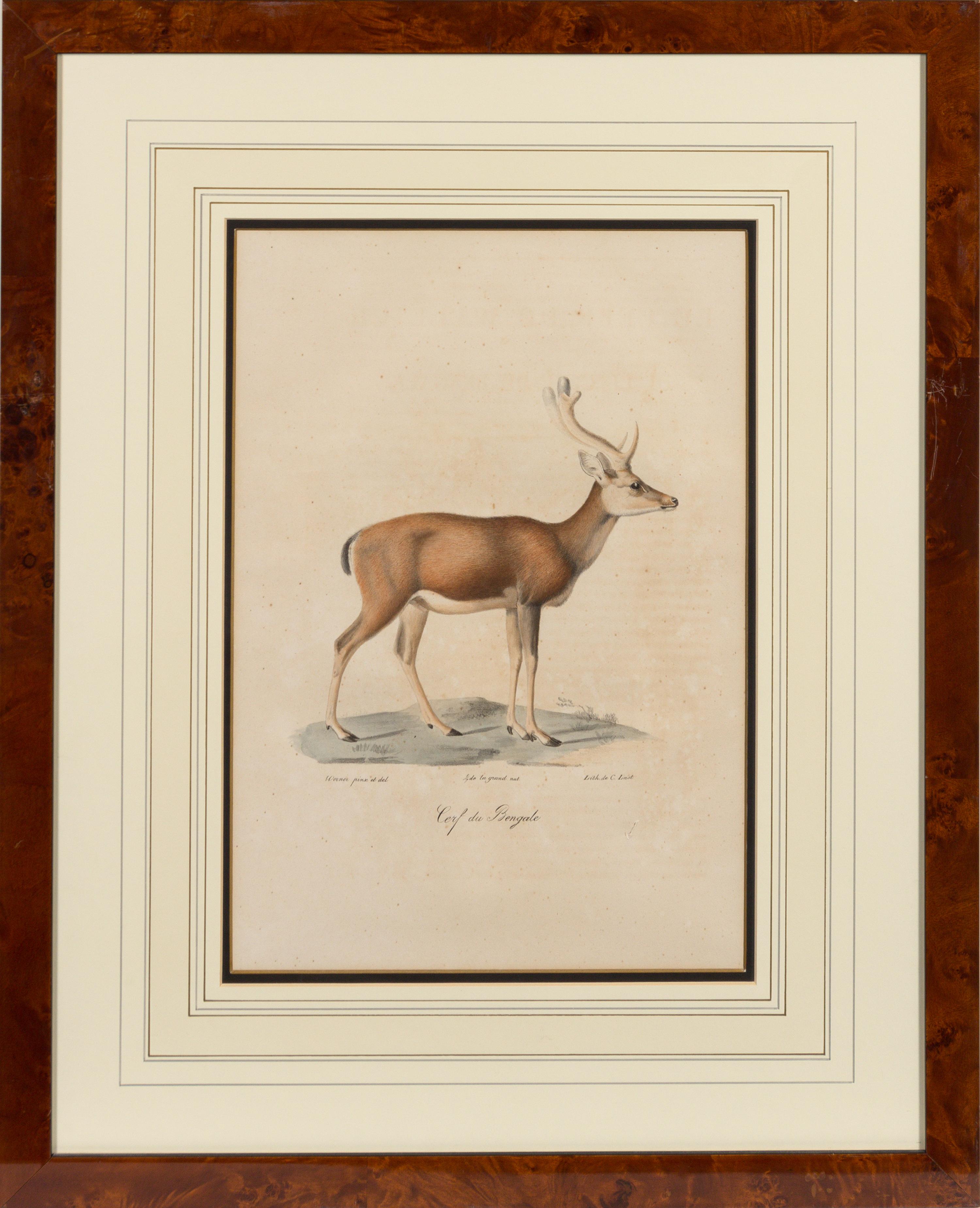 A Set of Six Animalier Prints 15 3/4 x 10 3/4 inches. — 19TH CENTURY