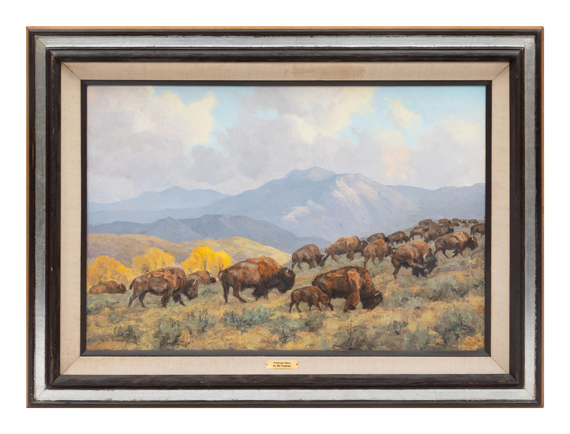 American Bison