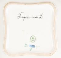 A Royal Copenhagen Flora Danica Porcelain Covered Vegetable Dish and Salad Bowl