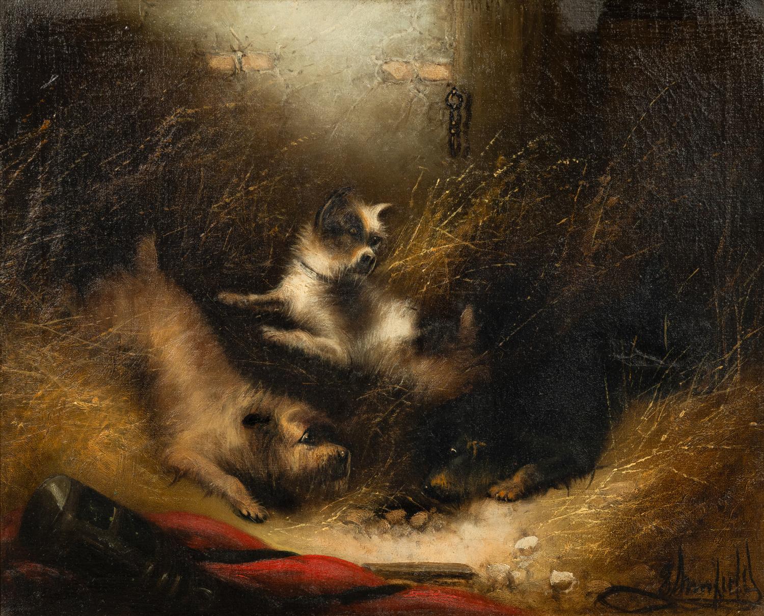 Terriers Ratting