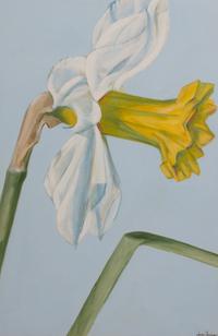 Two Daffodil Paintings