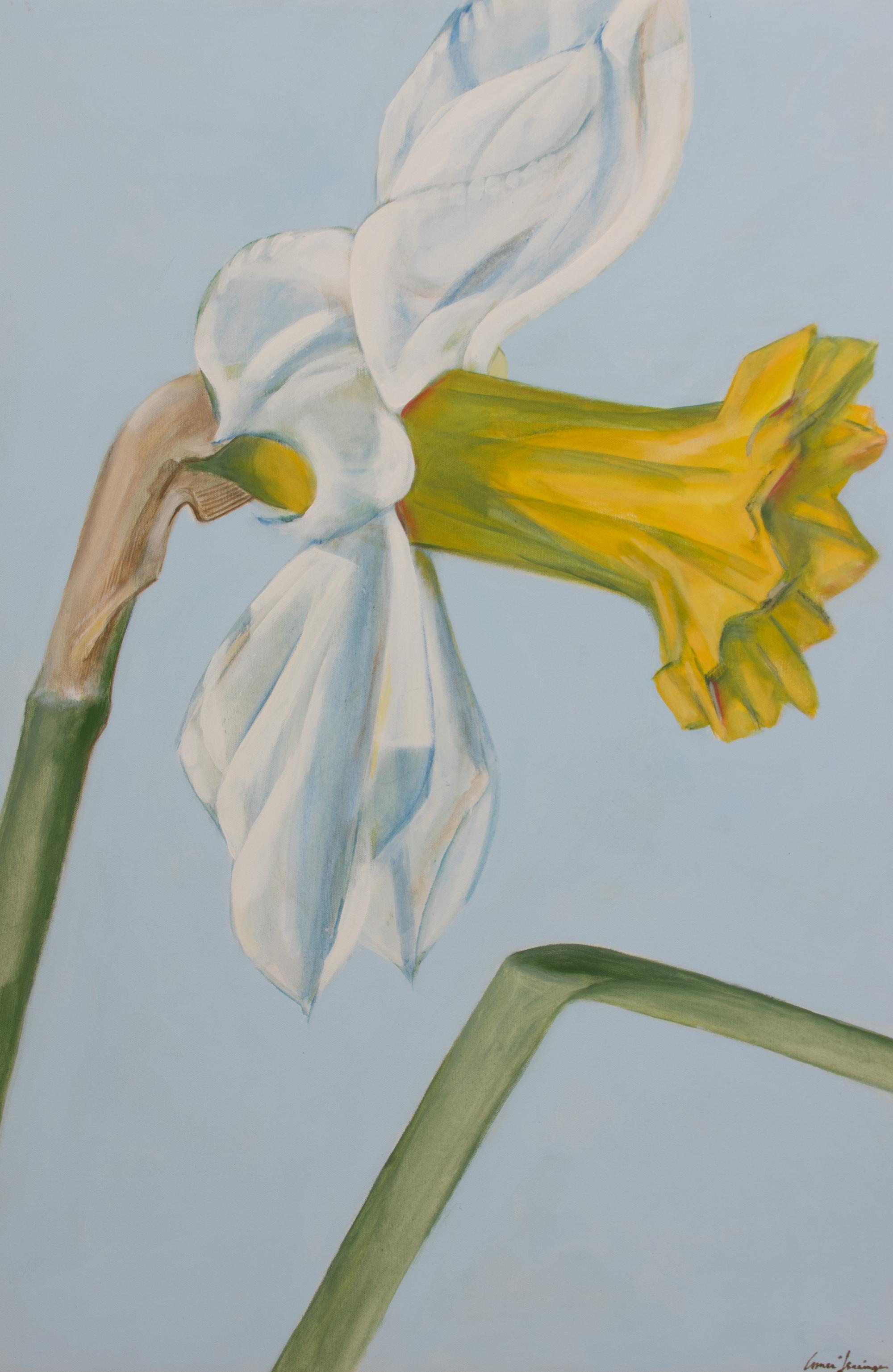 Two Daffodil Paintings