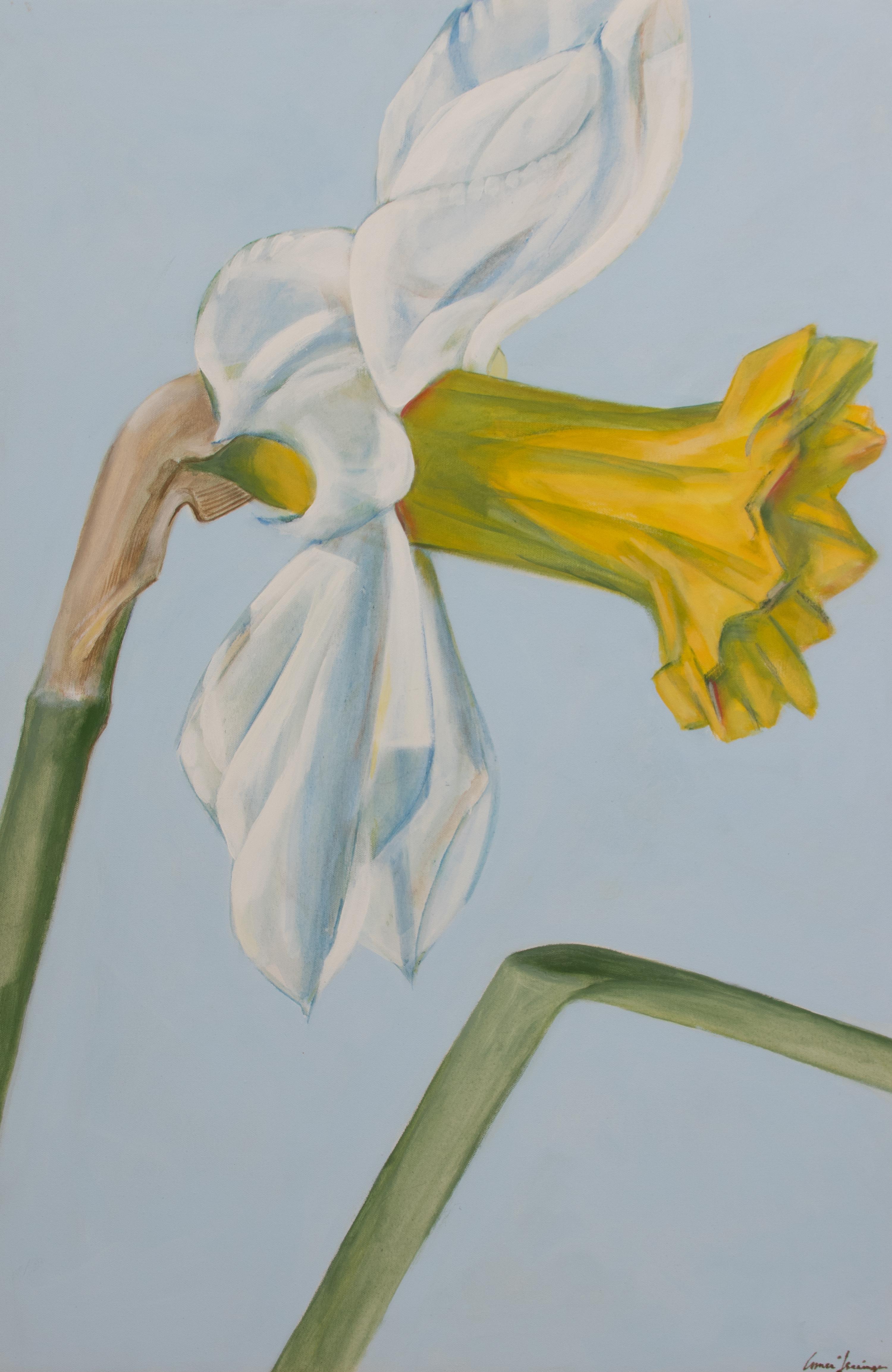 Two Daffodil Paintings
