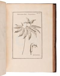 TOURNEFORT, Joseph Pitton de (1656-1708). Institutiones rei herbariae . Paris: Typographia Regia, 1700.