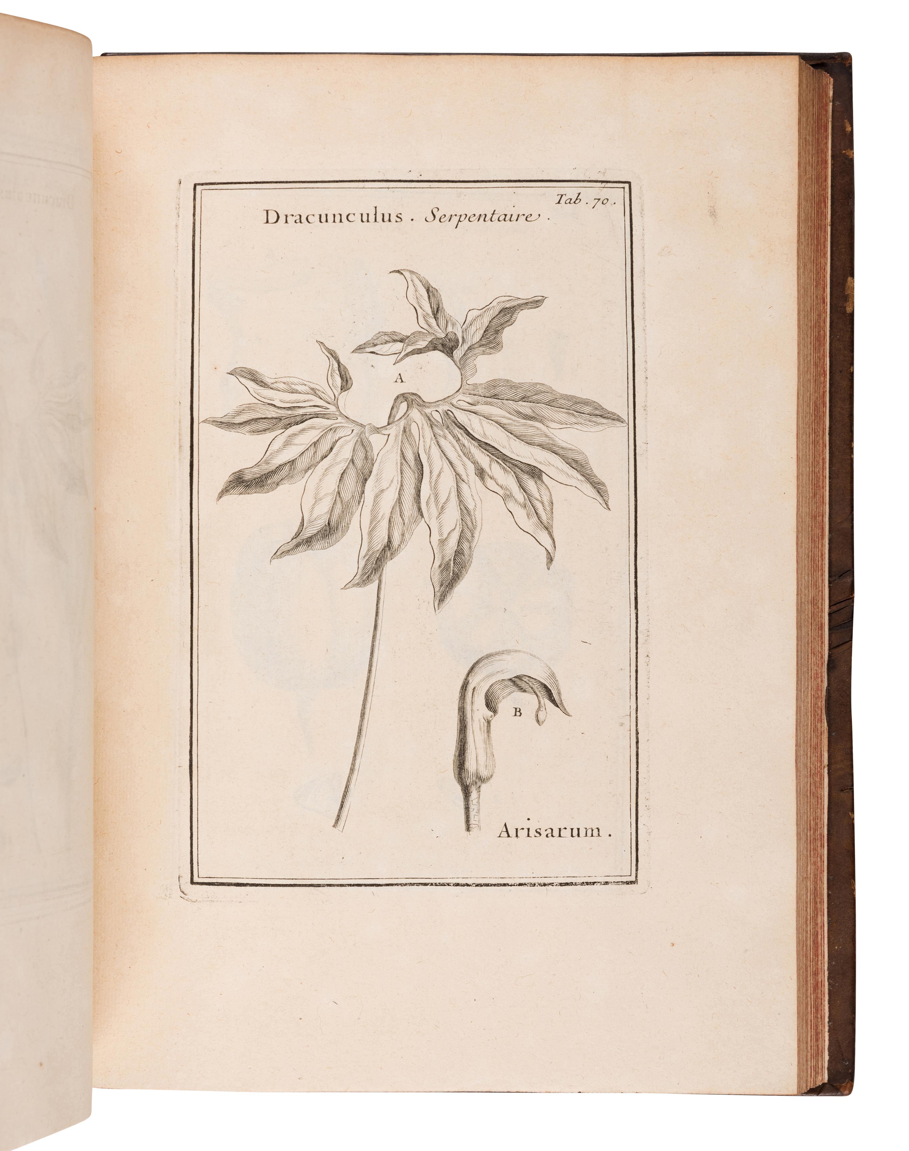 TOURNEFORT, Joseph Pitton de (1656-1708). Institutiones rei herbariae . Paris: Typographia Regia, 1700.