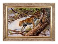 Leopard in Acacia Tree