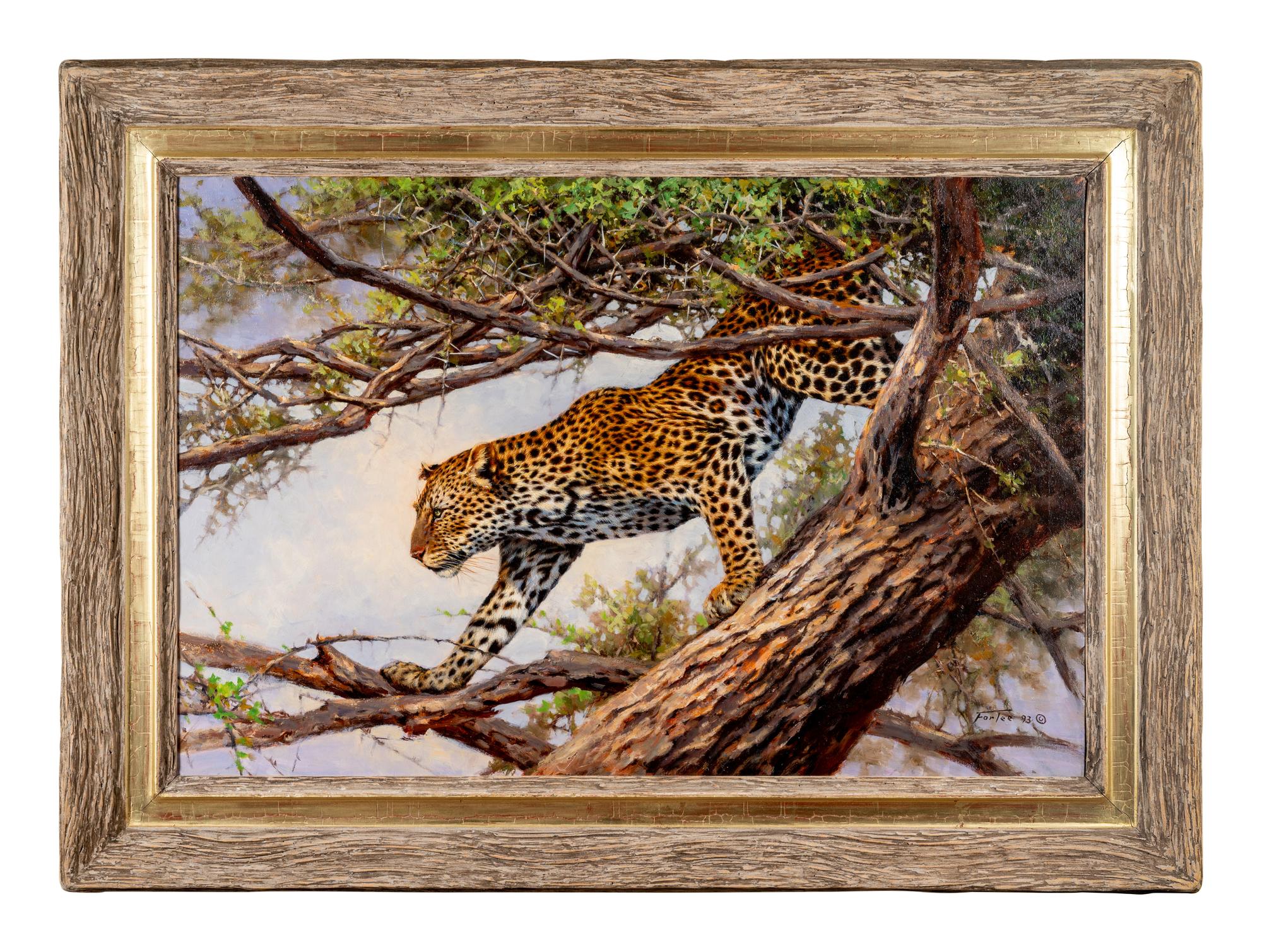 Leopard in Acacia Tree