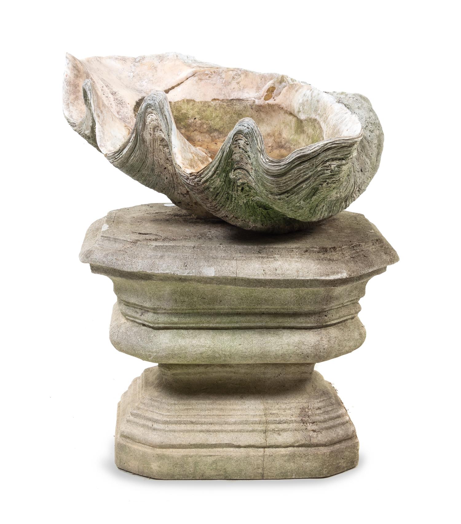 A Cast Stone Model of a Giant Clam Shell and an Associated Pedestal Height overall 31 3/4 inches. — 20TH CENTURY