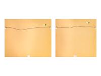 A Near Pair of French Papier Peinte Fireboards