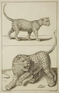A Group of Ten Framed Continental Engravings — 18TH/19TH CENTURY