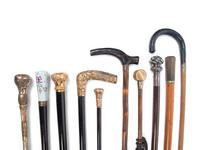 A Group of Walking Sticks