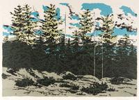 From Zeke's Place (Maine Landscape)