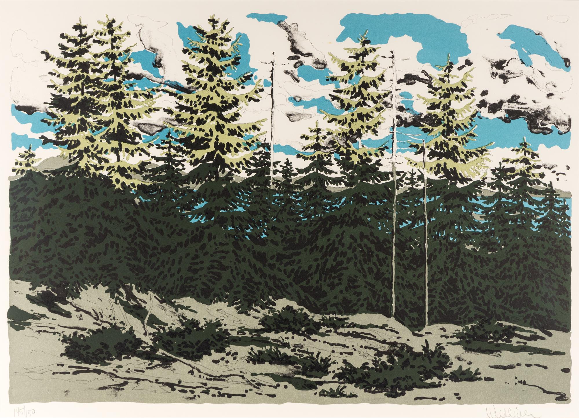 From Zeke's Place (Maine Landscape)