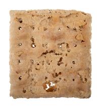[CIVIL WAR]. A piece of hardtack.