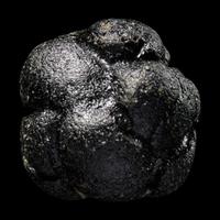 A Large Bicolite Tektite