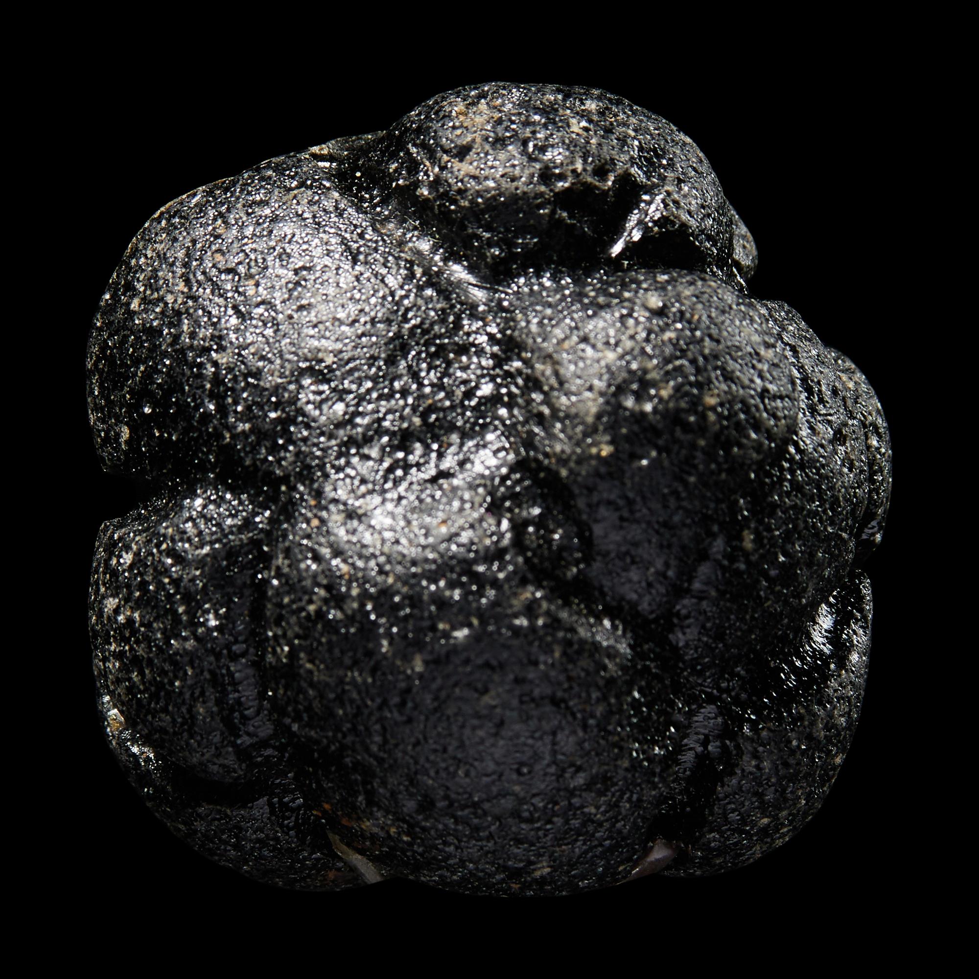 A Large Bicolite Tektite