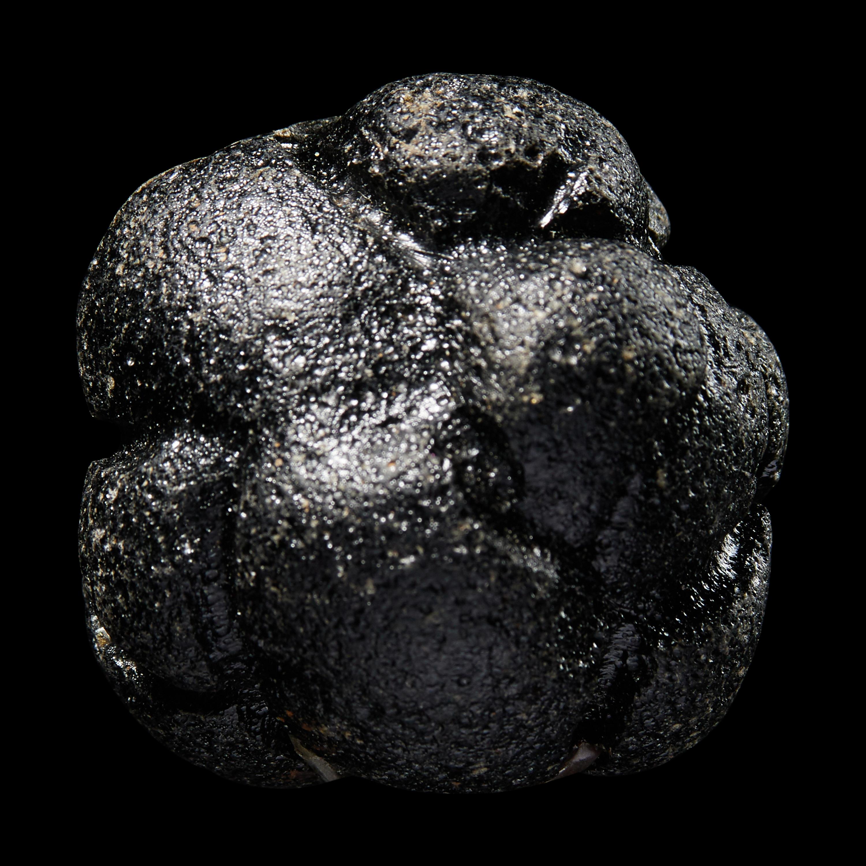 A Large Bicolite Tektite