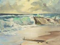 The Wreck of the Providencia on Palm Beach