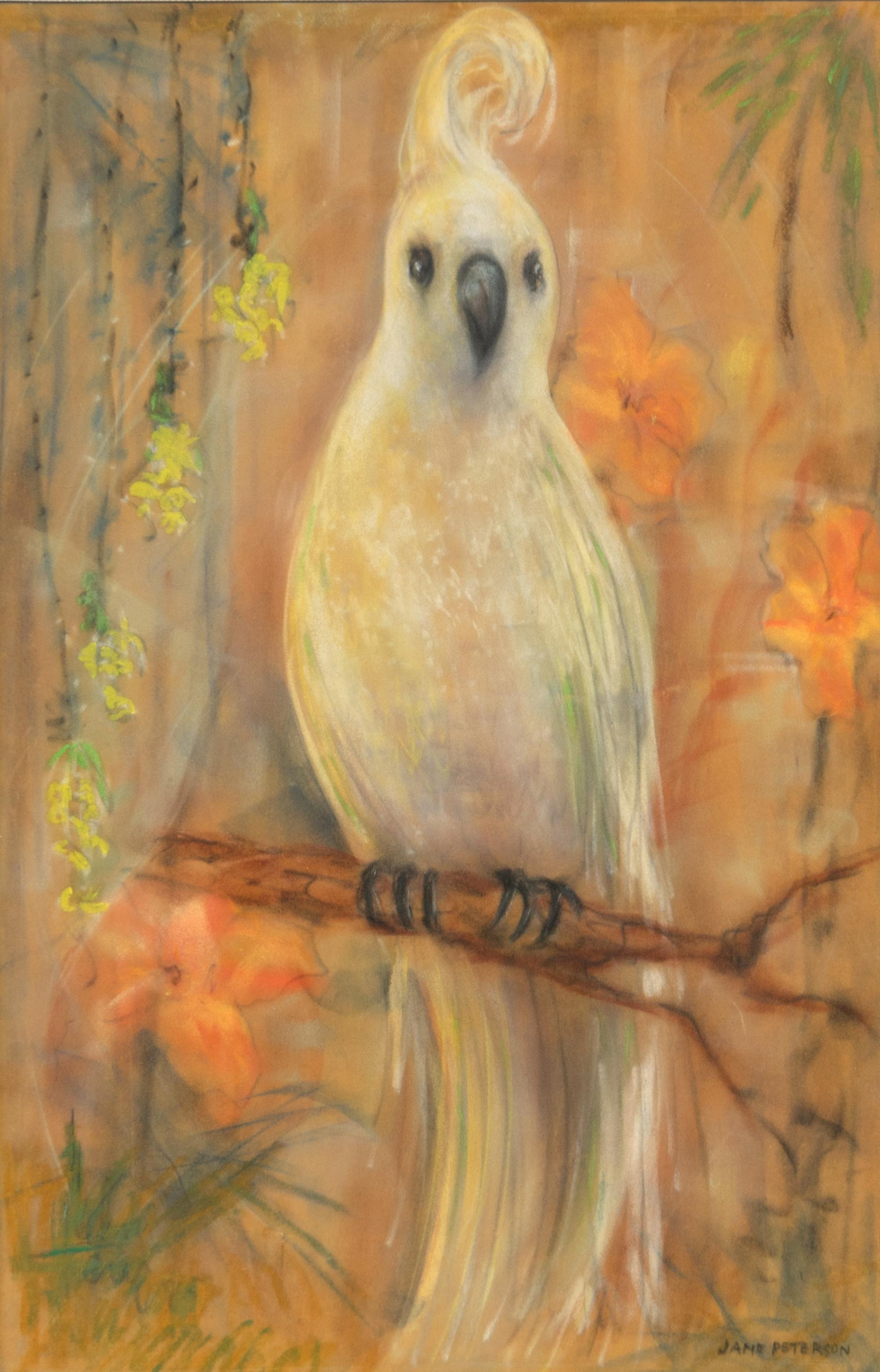 Yellow-Crested Cockatoo