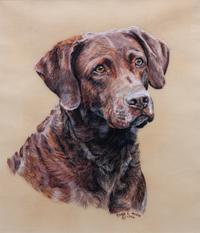 Six Works of Art depicting Chesapeake Bay Retrievers Largest: 18 x 10 1/2 inches.