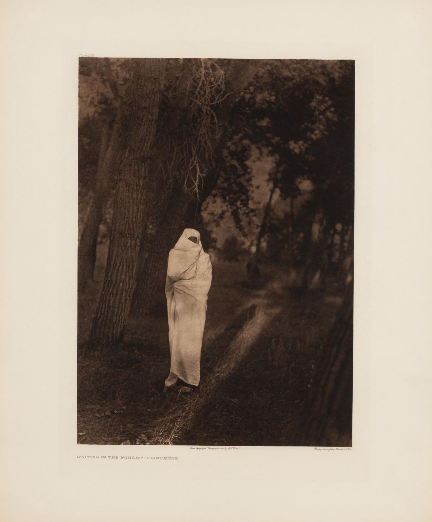 Waiting in the Forest – Cheyenne, Plate 218