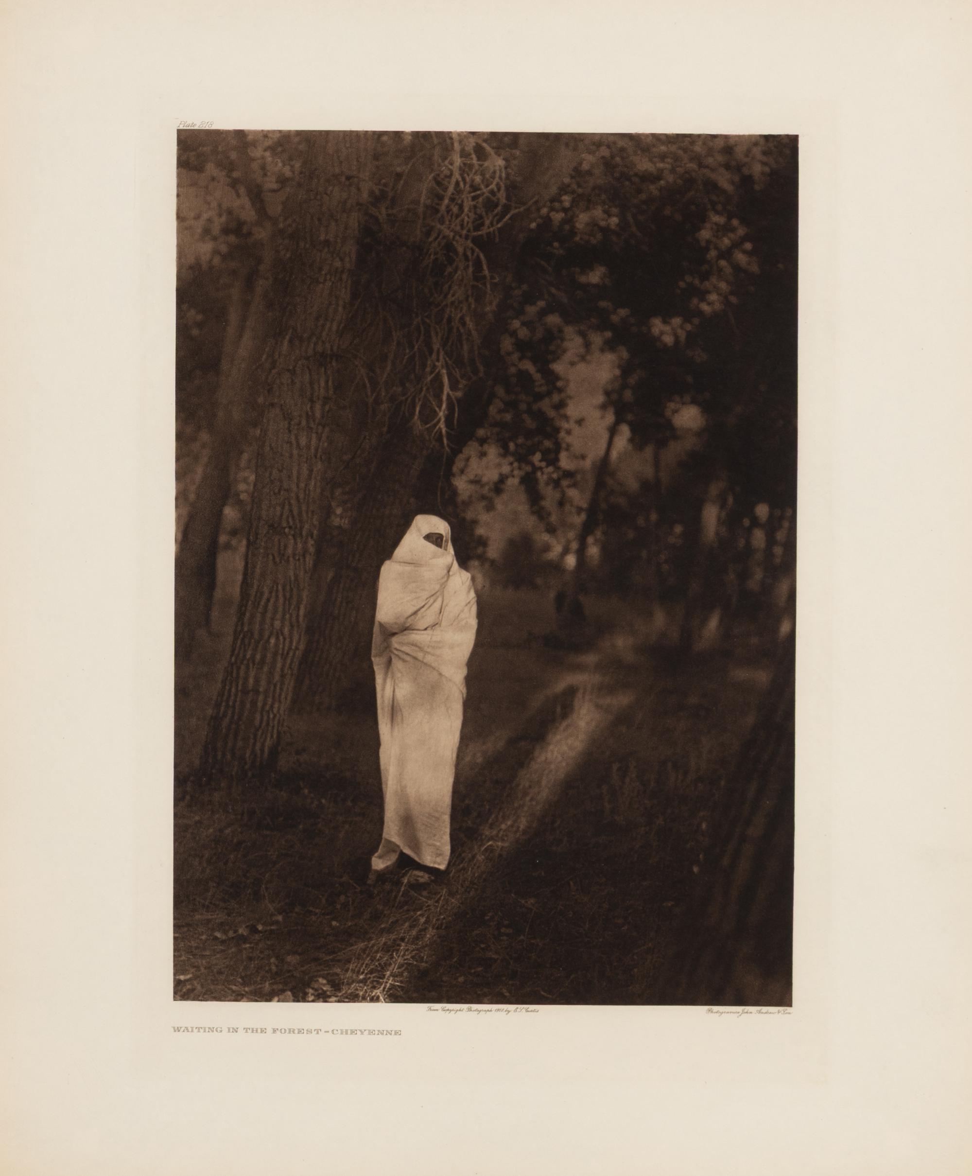 Waiting in the Forest – Cheyenne, Plate 218