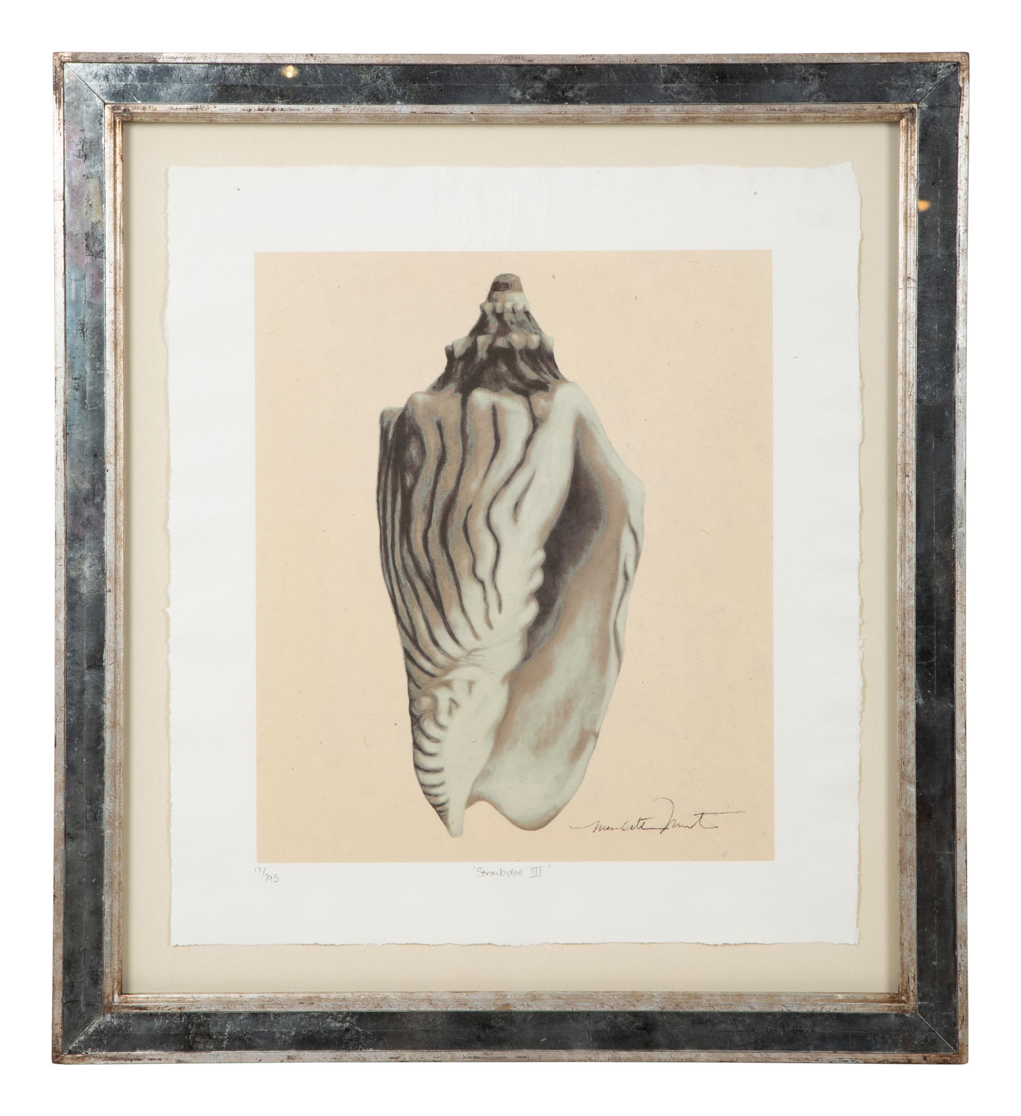A Set of Four Decorative Nautilus Prints in Mirrored Frames — 20TH CENTURY