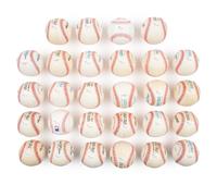 A Collection of 29 Hall of Fame Pitcher Signed Autograph Baseballs (JSA)