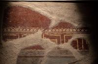 A Collection of Roman Fresco Fragments