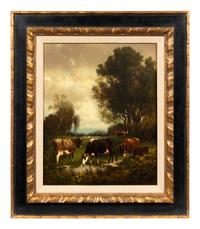 Grazing Cows