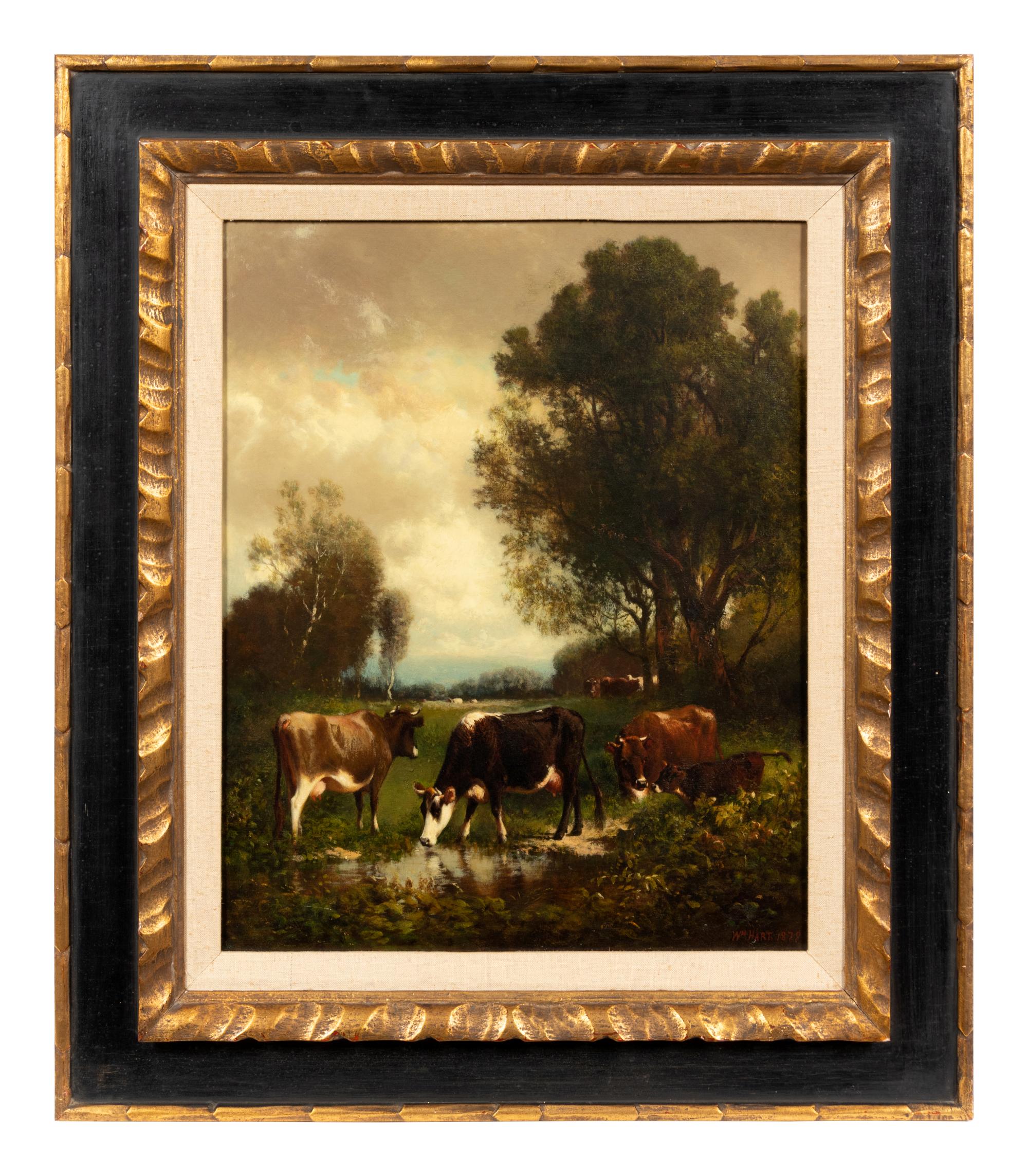 Grazing Cows