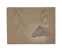 Farm Animal Studies: F older of Eighteen (18) Pencil Drawings