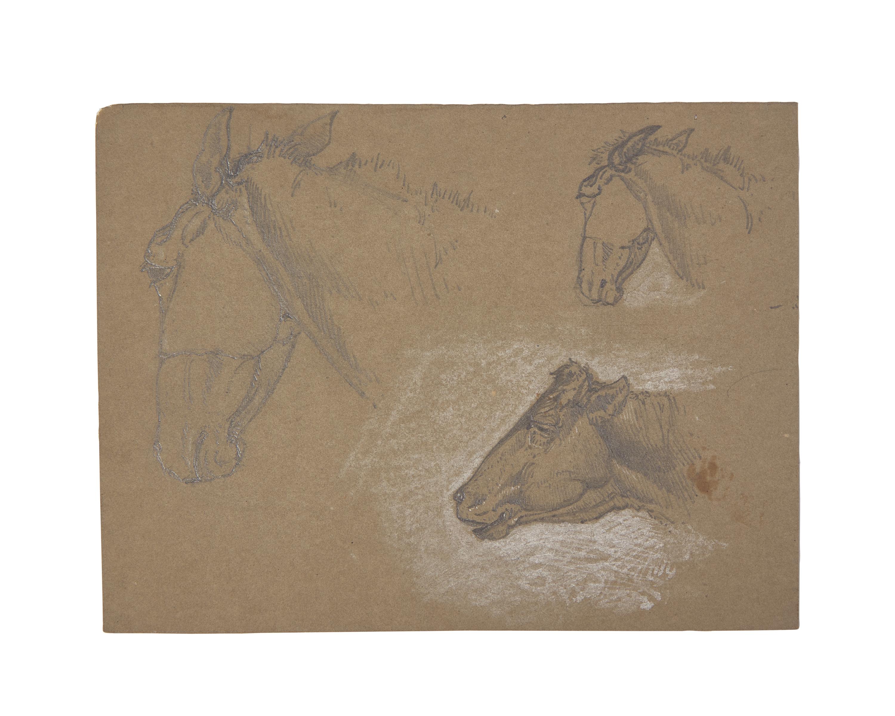 Farm Animal Studies: F older of Eighteen (18) Pencil Drawings