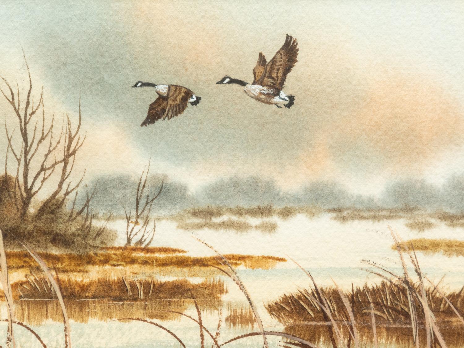 Canadas Flying