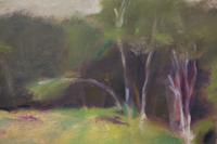 Birches , c. 1977