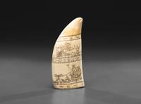 A Scrimshaw Sperm Whale's Tooth