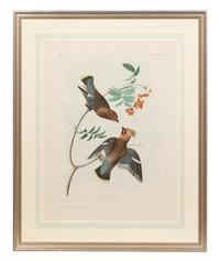 After John James Audubon (American, 1785-1851)