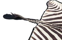 A Taxidermy Zebra Rug