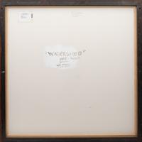 Watershed, 1998-2002
