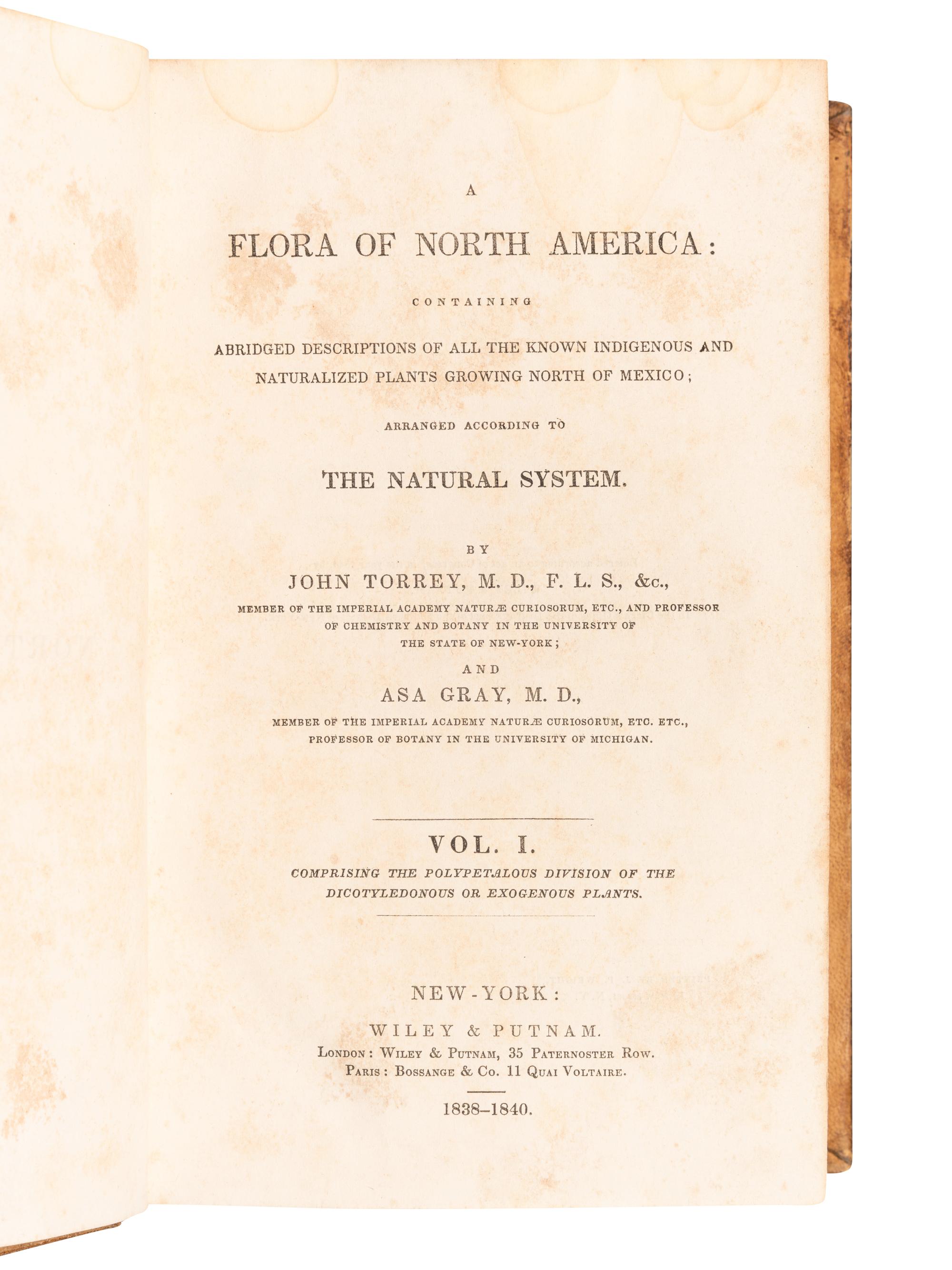 [FLORA]. A group of 10 works, including: